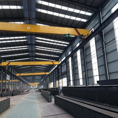 Cần cẩu dầm đơn Eot